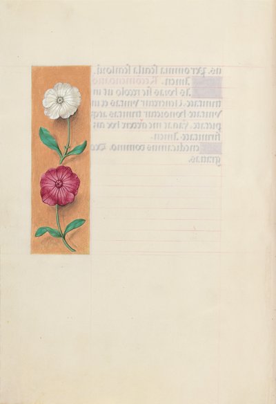 Kuningatar Isabella Katolisen, Espanjan kuningatar: Fol. 23v, c. 1500. tekijältä Master of the First Prayerbook of Maximillian