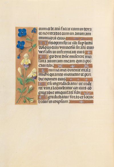 Kuningatar Isabella Katolisen, Espanjan kuningatar: Fol. 241v, c. 1500. tekijältä Master of the First Prayerbook of Maximillian