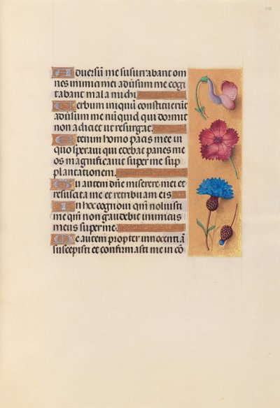 Kuningatar Isabella Katolisen, Espanjan kuningatar: Fol. 242r, c. 1500. tekijältä Master of the First Prayerbook of Maximillian