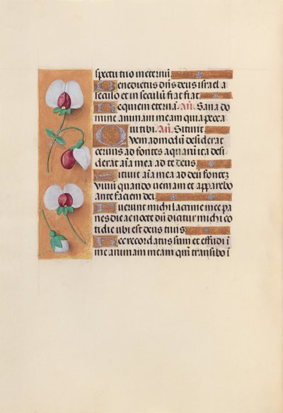 Kuningatar Isabella Katolisen, Espanjan kuningatar: Fol. 242v, c. 1500. tekijältä Master of the First Prayerbook of Maximillian