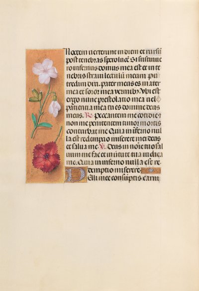 Kuningatar Isabella Katolisen, Espanjan kuningatar: Fol. 244v, c. 1500. tekijältä Master of the First Prayerbook of Maximillian