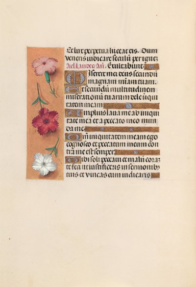 Kuningatar Isabella Katolisen, Espanjan kuningatar: Fol. 246v, c. 1500. tekijältä Master of the First Prayerbook of Maximillian