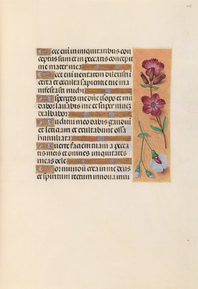 Kuningatar Isabella Katolisen, Espanjan kuningatar: Fol. 247r, c. 1500. tekijältä Master of the First Prayerbook of Maximillian