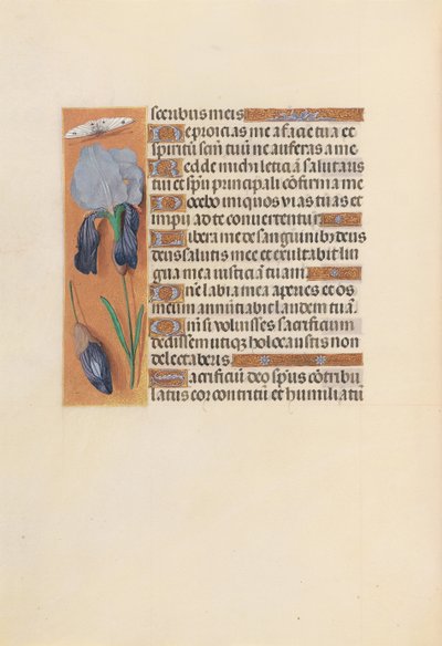 Kuningatar Isabella Katolisen, Espanjan kuningatar: Fol. 247v, c. 1500. tekijältä Master of the First Prayerbook of Maximillian