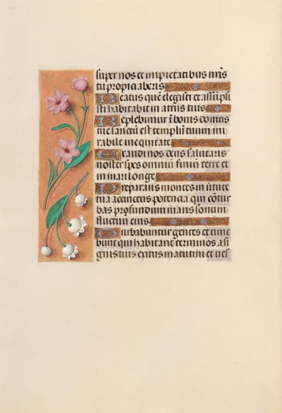 Kuningatar Isabella Katolisen, Espanjan kuningatar: Fol. 248v, c. 1500. tekijältä Master of the First Prayerbook of Maximillian