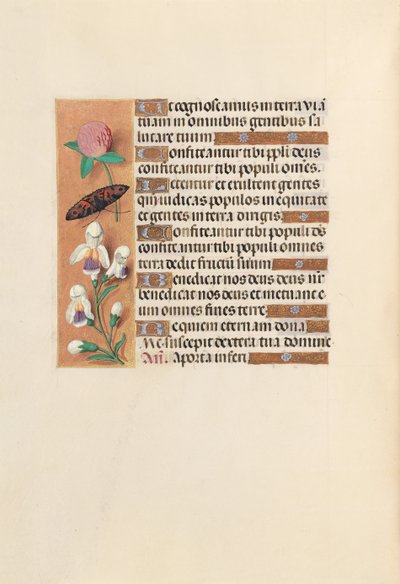 Kuningatar Isabella Katolisen, Espanjan kuningatar: Fol. 250v, c. 1500. tekijältä Master of the First Prayerbook of Maximillian