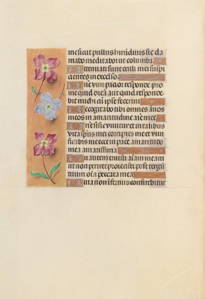 Kuningatar Isabella Katolisen, Espanjan kuningatar: Fol. 251v, c. 1500. tekijältä Master of the First Prayerbook of Maximillian