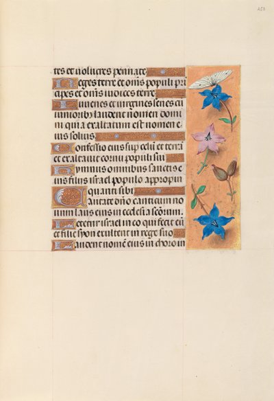 Kuningatar Isabella Katolisen, Espanjan kuningatar: Fol. 253r, c. 1500. tekijältä Master of the First Prayerbook of Maximillian