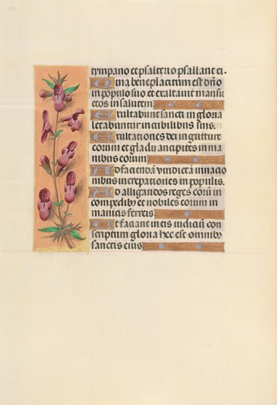 Kuningatar Isabella Katolisen, Espanjan kuningatar: Fol. 253v, c. 1500. tekijältä Master of the First Prayerbook of Maximillian