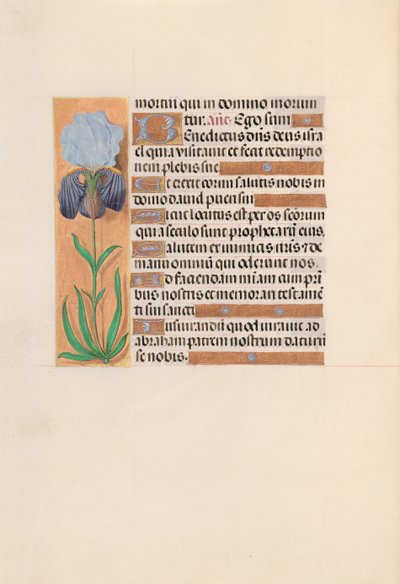 Kuningatar Isabella Katolisen, Espanjan kuningatar: Fol. 254v, c. 1500. tekijältä Master of the First Prayerbook of Maximillian