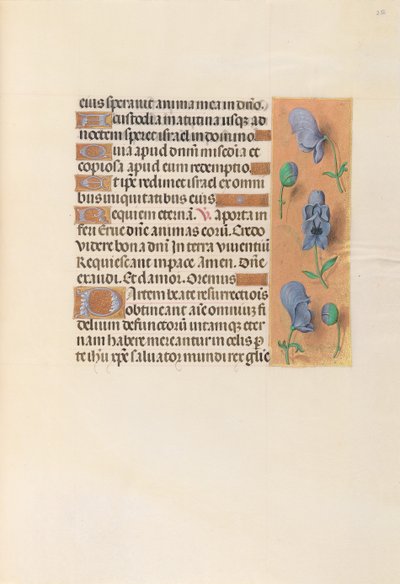 Kuningatar Isabella Katolisen, Espanjan kuningatar: Fol. 256r, c. 1500. tekijältä Master of the First Prayerbook of Maximillian