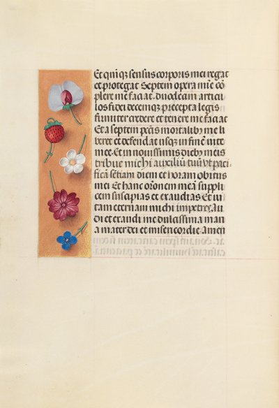 Kuningatar Isabella Katolisen, Espanjan kuningatar: Fol. 260v, Pieta, c. 1500. tekijältä Master of the First Prayerbook of Maximillian