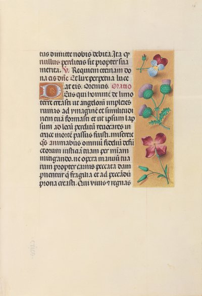 Kuningatar Isabella Katolisen, Espanjan kuningatar: Fol. 26r, c. 1500. tekijältä Master of the First Prayerbook of Maximillian