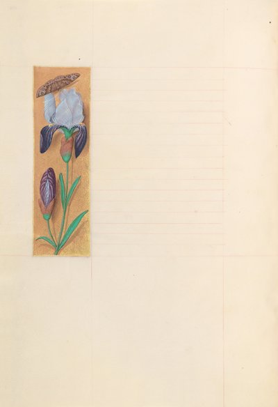 Kuningatar Isabella Katolisen, Espanjan kuningatar: Fol. 277v, c. 1500. tekijältä Master of the First Prayerbook of Maximillian