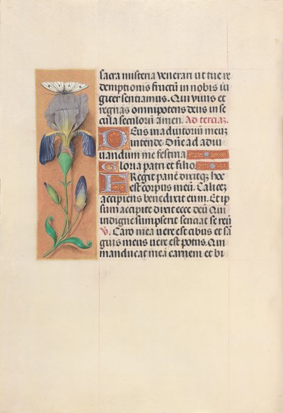 Kuningatar Isabella Katolisen, Espanjan kuningatar: Fol. 45v, c. 1500. tekijältä Master of the First Prayerbook of Maximillian