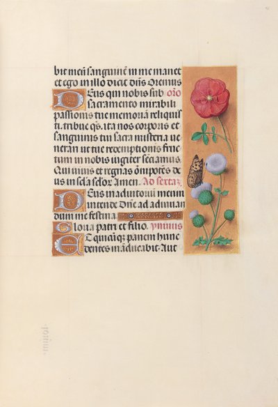 Espanjan kuningattaren Isabella katolisen tunteja:  Fol. 46r tekijältä Master of the First Prayerbook of Maximillian