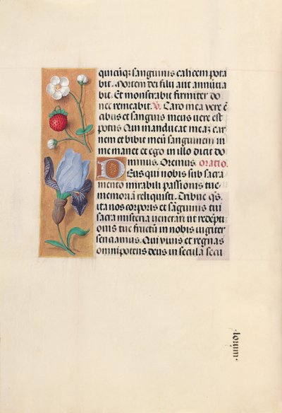 Kuningatar Isabella Katolisen, Espanjan kuningatar: Fol. 46v, c. 1500. tekijältä Master of the First Prayerbook of Maximillian