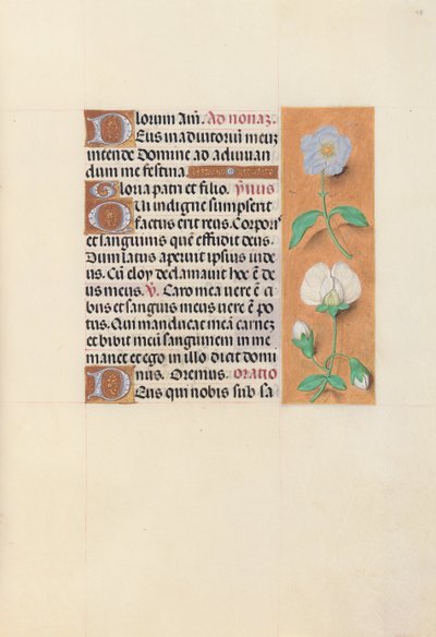 Kuningatar Isabella Katolisen, Espanjan kuningatar: Fol. 47r, c. 1500. tekijältä Master of the First Prayerbook of Maximillian