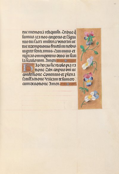 Kuningatar Isabella Katolisen, Espanjan kuningatar: Fol. 49r, c. 1500. tekijältä Master of the First Prayerbook of Maximillian