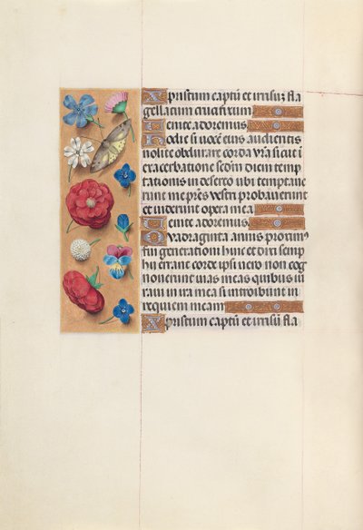 Kuningatar Isabella Katolisen, Espanjan kuningatar: Fol. 51v, c. 1500. tekijältä Master of the First Prayerbook of Maximillian