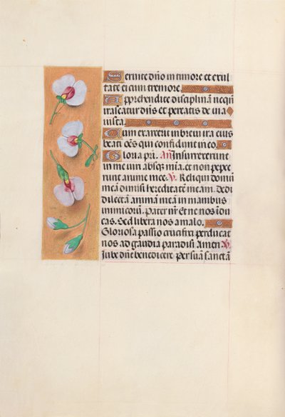 Kuningatar Isabella Katolisen, Espanjan kuningatar: Fol. 53v, c. 1500. tekijältä Master of the First Prayerbook of Maximillian