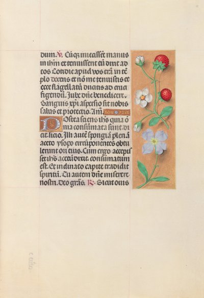Kuningatar Isabella Katolisen, Espanjan kuningatar: Fol. 55r, c. 1500. tekijältä Master of the First Prayerbook of Maximillian