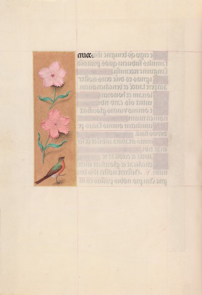 Espanjan kuningattaren Isabella katolisen tunteja:  Fol. 56v tekijältä Master of the First Prayerbook of Maximillian