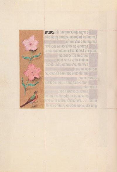 Kuningatar Isabella Katolisen, Espanjan kuningatar: Fol. 56v, c. 1500. tekijältä Master of the First Prayerbook of Maximillian
