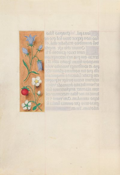 Kuningatar Isabella Katolisen, Espanjan kuningatar: Fol. 60v, c. 1500. tekijältä Master of the First Prayerbook of Maximillian