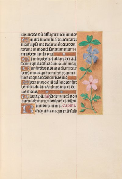 Kuningatar Isabella Katolisen, Espanjan kuningatar: Fol. 62r, c. 1500. tekijältä Master of the First Prayerbook of Maximillian