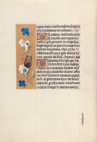 Espanjan kuningattaren Isabella katolisen tunteja:  Fol. 67v tekijältä Master of the First Prayerbook of Maximillian