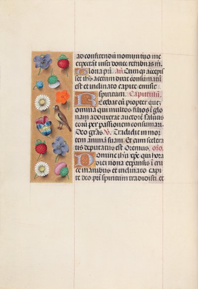 Kuningatar Isabella Katolisen, Espanjan kuningatar: Fol. 70v, c. 1500. tekijältä Master of the First Prayerbook of Maximillian