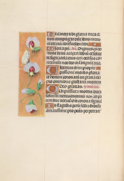 Kuningatar Isabella Katolisen, Espanjan kuningatar: Fol. 74v, c. 1500. tekijältä Master of the First Prayerbook of Maximillian