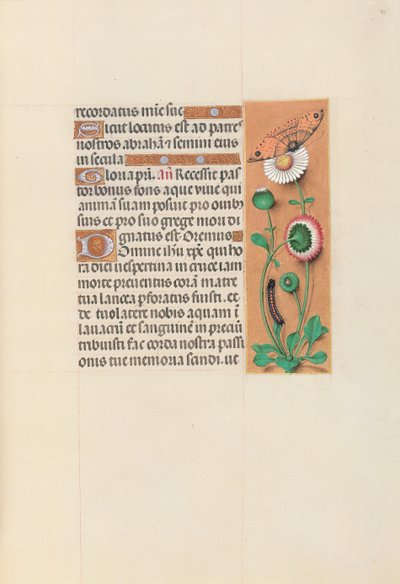 Kuningatar Isabella Katolisen, Espanjan kuningatar: Fol. 76r, c. 1500. tekijältä Master of the First Prayerbook of Maximillian
