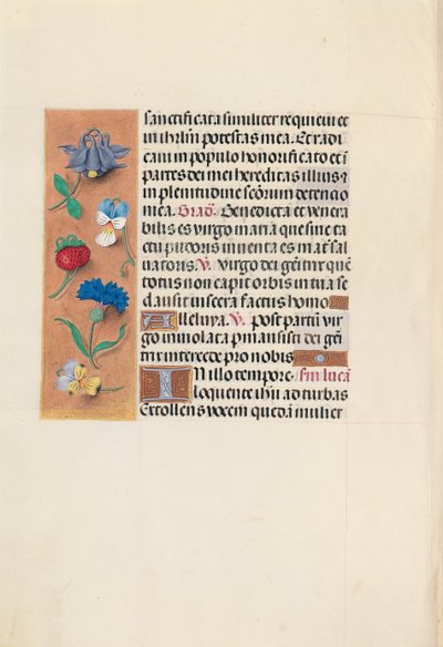 Kuningatar Isabella Katolisen, Espanjan kuningatar: Fol. 90v, c. 1500. tekijältä Master of the First Prayerbook of Maximillian