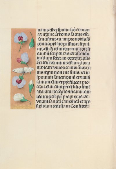 Kuningatar Isabella Katolisen, Espanjan kuningatar: Fol. 91v, c. 1500. tekijältä Master of the First Prayerbook of Maximillian