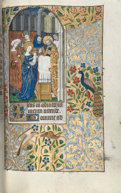 Tuntikirja Rouenin käyttö: fol. 67r, Kristus-lapsen esitys temppelissä, n. 1470. tekijältä Master of the Geneva Latini