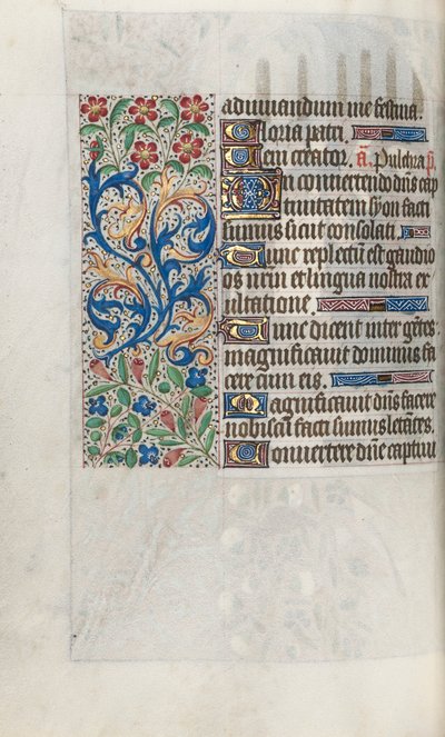Tuntikirja Rouenin käyttö: fol. 67v, c. 1470. tekijältä Master of the Geneva Latini