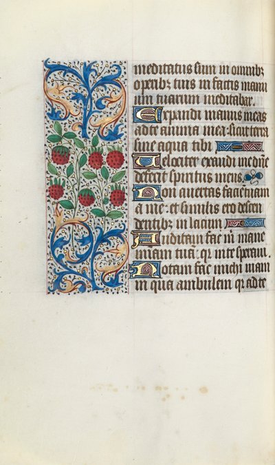 Tuntikirja Rouenin käyttö: fol. 91v, c. 1470. tekijältä Master of the Geneva Latini