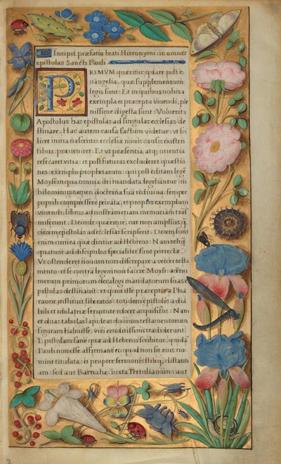 Koristeltu tekstisivu tekijältä Master of the Getty Epistles