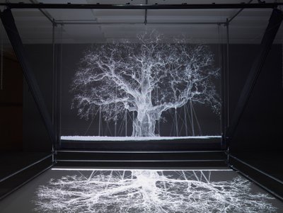 Albion, 2017 (projektori, mediasoitin, telineet, läpinäkyvä kalvo, puu, maali, peili, venytystarvikkeet) tekijältä Mat Collishaw