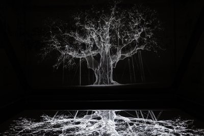 Albion, 2017 (projektori, mediasoitin, telineet, läpinäkyvä kalvo, puu, maali, peili, venytystarvikkeet) tekijältä Mat Collishaw