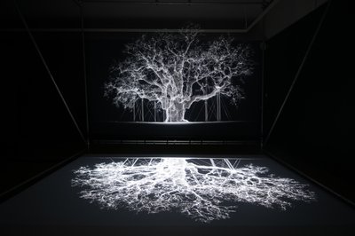 Albion Mat Collishaw