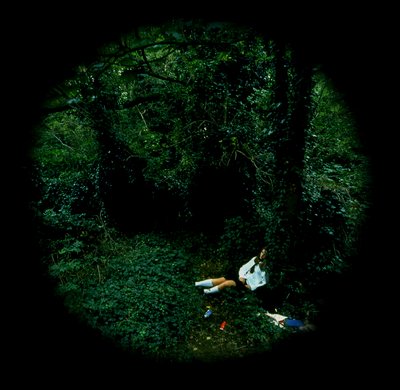 Omantunnon herääminen, Kateline tekijältä Mat Collishaw