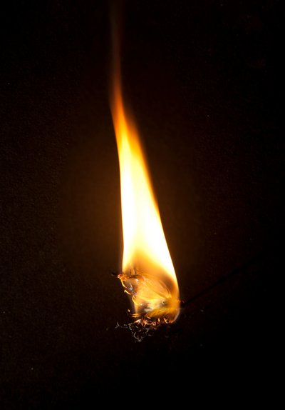 Polttava perhonen 3, 2013 (Lambda printti) tekijältä Mat Collishaw
