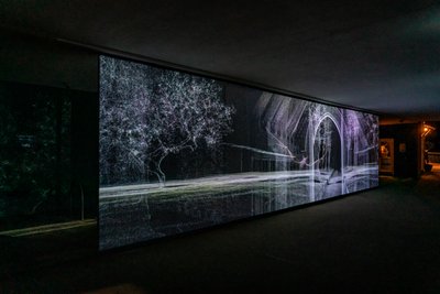 Echolocation, 2021 (3-kanavainen videoprojektio polypropeeniverkolle) tekijältä Mat Collishaw