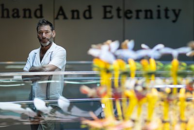 Päiväntasaus, 2021 (kuva) tekijältä Mat Collishaw