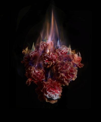 Fading Memories of the Sun, 2013 (C-tyyppi valokuva) tekijältä Mat Collishaw