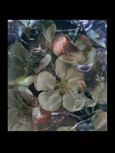 Lihanlämmittimet 5 tekijältä Mat Collishaw