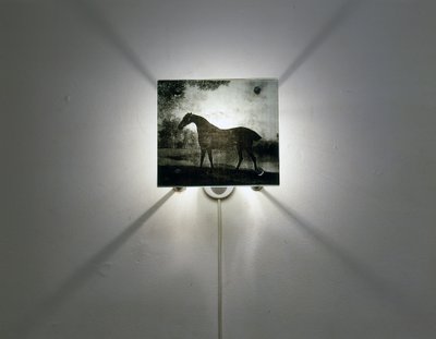 Stubbsin hevoset tekijältä Mat Collishaw